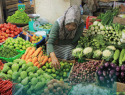 Sejumlah Komoditas Turun Harga, Daya Beli Warga Padang Panjang Diharapkan Meningkat