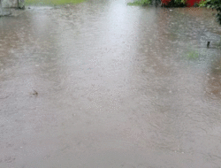 Batang Imang Meluap, 21 Rumah Terdampak Banjir di Koto Sani, Warga Diharap Waspada