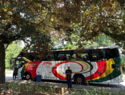 Gunakan Bus NPM, Mahasiswa Asal Padang Panjang Gratis Pulang Kampung