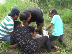 Diduga Edarkan Narkoba, Seorang Warga Bungo Ditangkap di Dharmasraya, Dikejar Hingga ke Kebun Sawit