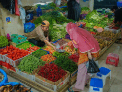 Harga Cabai Lagi Murah di Sumbar, Emak-emak Nimbun Stok di Kulkas, Tempat Penggilingan Kebanjiran Order