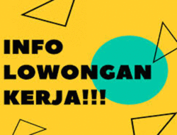 Terbuka Bagi Tamatan D3 dan S1, Pemerintah Buka Lowongan Kerja Besar-besaran, Ini Link Pendaftaran