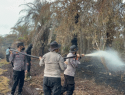 Tim Gabungan Berjibaku Jinakkan Api, Lahan Gambut Terbakar di Pelalawan