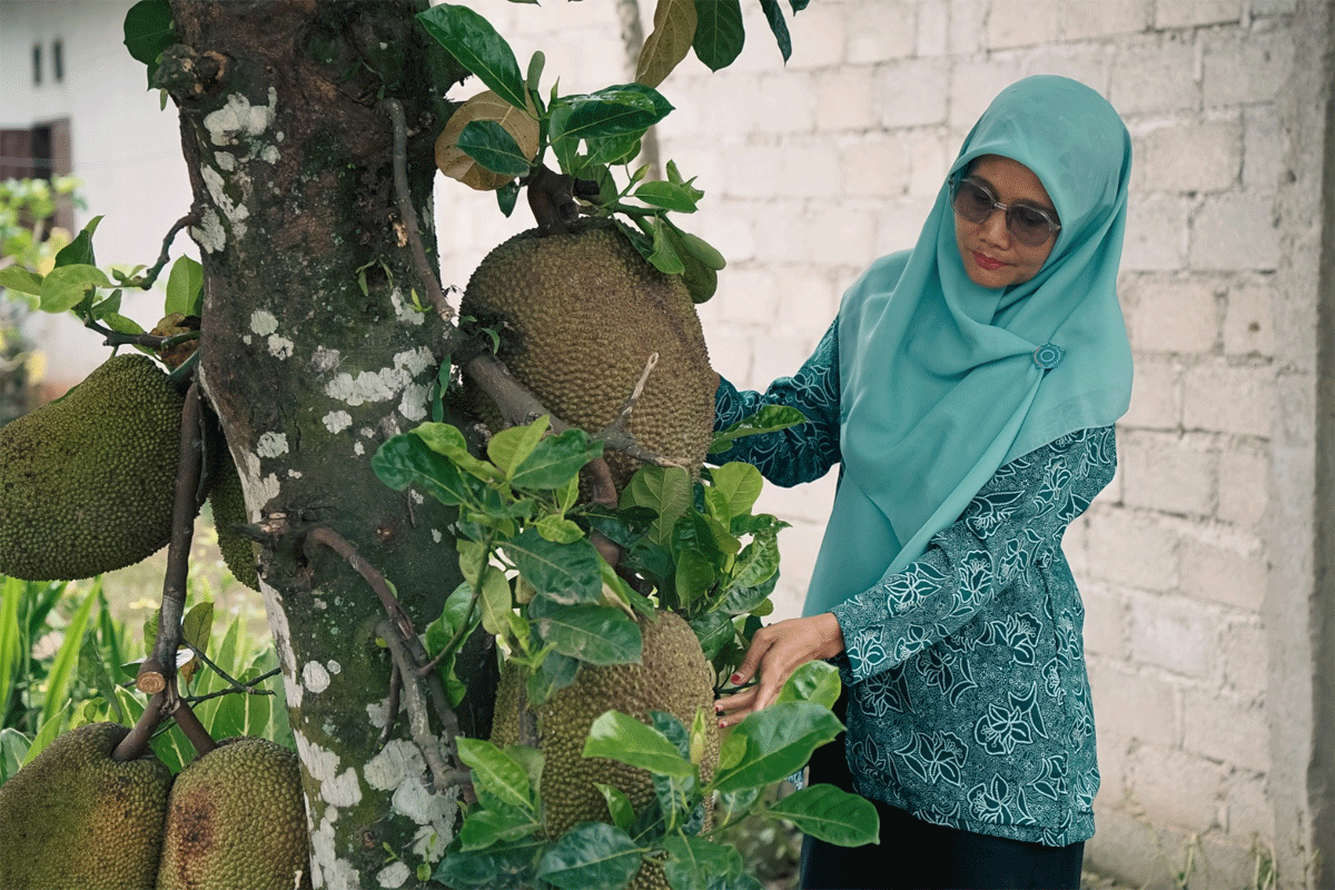 Anggota PKK dan tanaman nangka yang siap untuk dipanen.