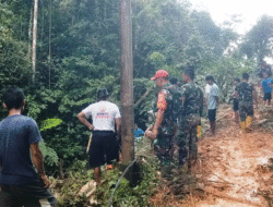 Setelah Longsor, Jalan di Jorong Lubuk Telaok Kembali Bisa Dilalui