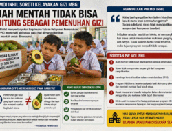 Siswa Diberi Alpukat Mentah di SDN 08 Tembilahan Hulu, Diperam Dulu Hingga Matang, Gizi Kemudian