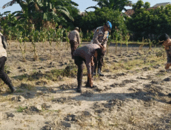 Tak Hanya Jaga Keamanan, Polisi di Pekanbaru Kini Dampingi Petani