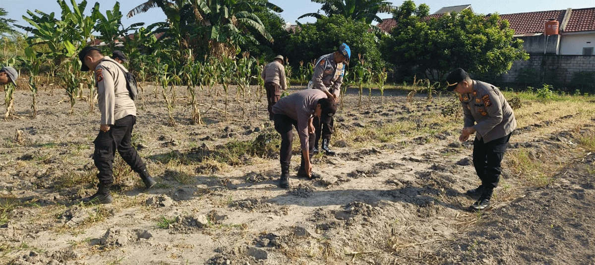 Tak Hanya Jaga Keamanan, Polisi di Pekanbaru Kini Dampingi Petani