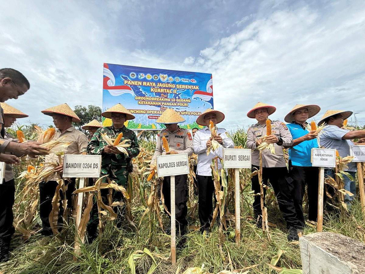 Polres Sergai Panen Raya Jagung, Perkuat Ketahanan Pangan Bersama Masyarakat