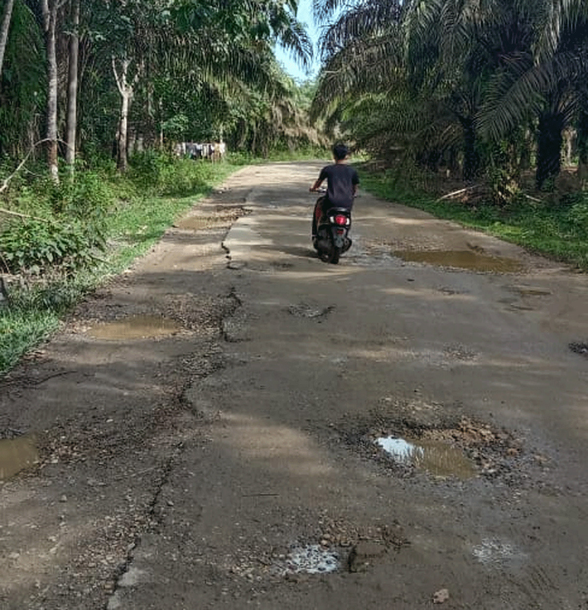 Jalan rusak di Teratak Jering yang dikeluhkan warga.