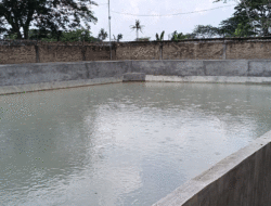 Bau Busuk dari Kolam Lele Resahkan Warga Kampung Pala, Bangkai Ayam Diduga Dijadikan Pakan