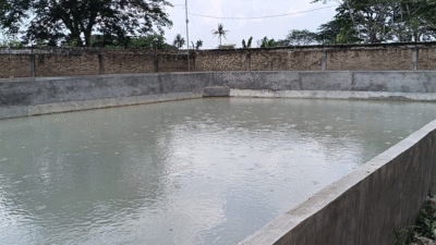 Kolam lele yang dikeluhkan masyarakat