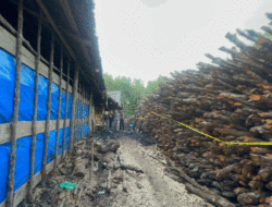 Polda Riau Bongkar Perusakan Mangrove di Meranti, Tiga Tersangka dan 100 Ton Arang Disita