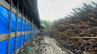 Barang bukti yang diamankan polisi