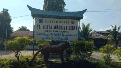 Program KKPA PT SAR Dongkrak Ekonomi Warga Kuansing, Ratusan Petani Rasakan Manfaat
