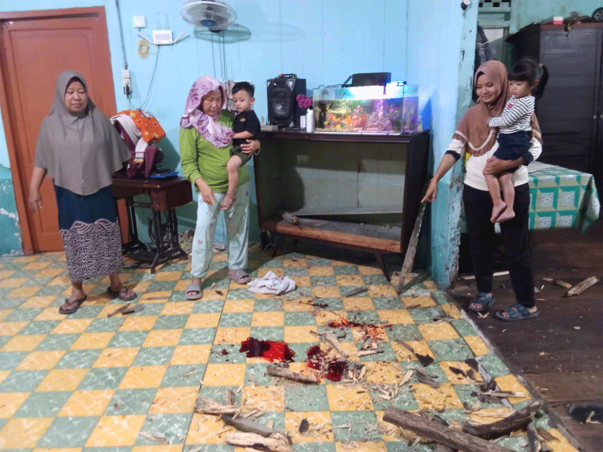 Breaking News! Babi Hutan Mengamuk di Permukiman Warga Tanjung Beringin, Seruduk Penghuni Rumah hingga Terluka 1 Afrianti menunjukkan bercak darah babi hutan dalam rumahnya dan seekor babi hutan yang tewas