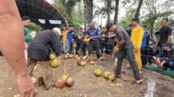 Sengit! Ratusan Petani Berebut Gelar Penyolak Kelapa Tercepat di Indragiri Hilir
