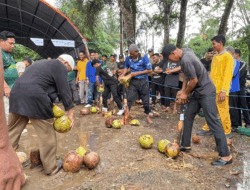 Sengit! Ratusan Petani Berebut Gelar Penyolak Kelapa Tercepat di Indragiri Hilir