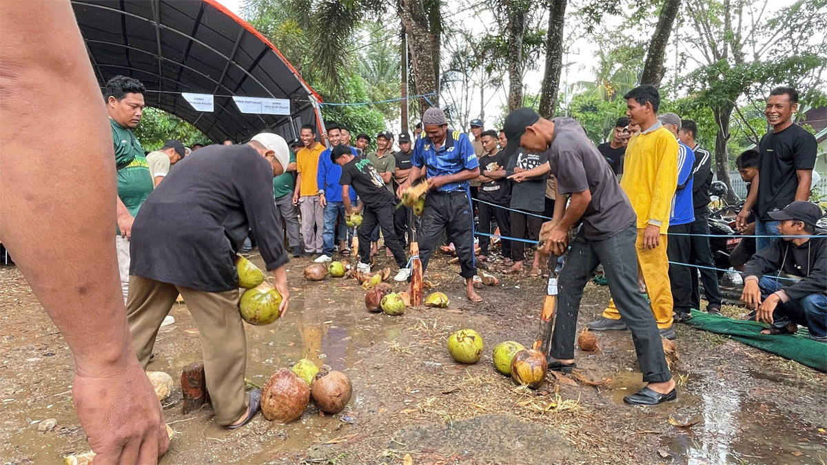 Sengit! Ratusan Petani Berebut Gelar Penyolak Kelapa Tercepat di Indragiri Hilir 1 Petani Berebut Gelar Penyolak Kelapa Tercepat di Indragiri Hilir