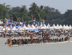 Harga Sawit dan Karet Naik, Antusiasme Masyarakat Menonton Pacu Jalur Diprediksi Meningkat