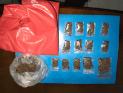 Satres Narkoba Polres Sergai Tangkap Pengedar Ganja di Sei Bamban