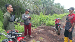 Lokasi kejadian. (riau.go.id)