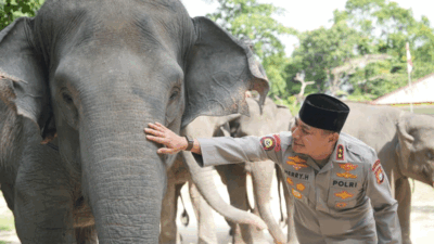 Dukung Inpres Prabowo, Green Policing Polda Riau Siap Jadi Garda Terdepan Penyelamatan Gajah