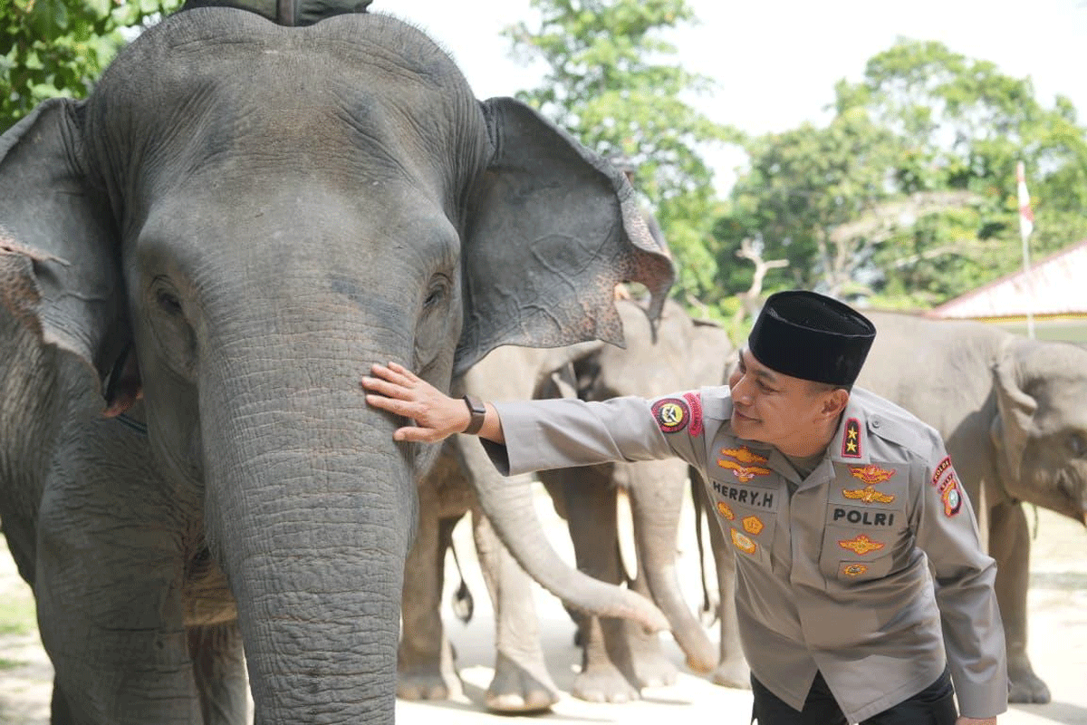 Dukung Inpres Prabowo, Green Policing Polda Riau Siap Jadi Garda Terdepan Penyelamatan Gajah 1 Kapolda Riau, Irjen Herry Heryawan mengunjungi Pusat Latihan Gajah (PLG) Minas