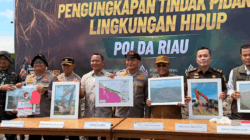 Bukan Sekadar Hutan, Perusakan 118 Hektare Mangrove di Rokan Hilir Ancam Pesisir dan Perikanan