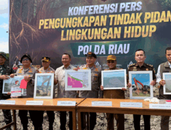 Bukan Sekadar Hutan, Perusakan 118 Hektare Mangrove di Rokan Hilir Ancam Pesisir dan Perikanan