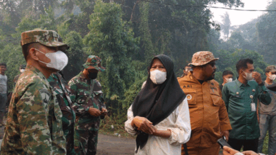 Indragiri Hilir Darurat Karhutla, 72 Hotspot Terdeteksi, Api Mengancam Permukiman 8 Tinjau Karhutla Parit 18, Plh Bupati Inhil Sebut 72 Hotspot Terdeteksi di Delapan Kecamatan
