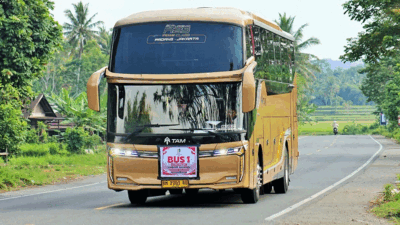 Naik Bus TAM ke Jamnas XII, Kontingen Kota Solok Dibuat Betah: Fasilitasnya Bikin Perjalanan Makin Nyaman 8 Bus TAM yang bawa kontingen Kota Solok ke Jamnas Pramuka di Cibubur.