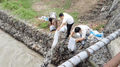 Tanpa Banyak Cakap, Seorang Pengusaha Tebar Seribuan Benih Ikan di Sungai Rampah, Warga Beri Apresiasi Luar Biasa 8 Seorang pengusaha tebar ikan ke Sungai Rampah