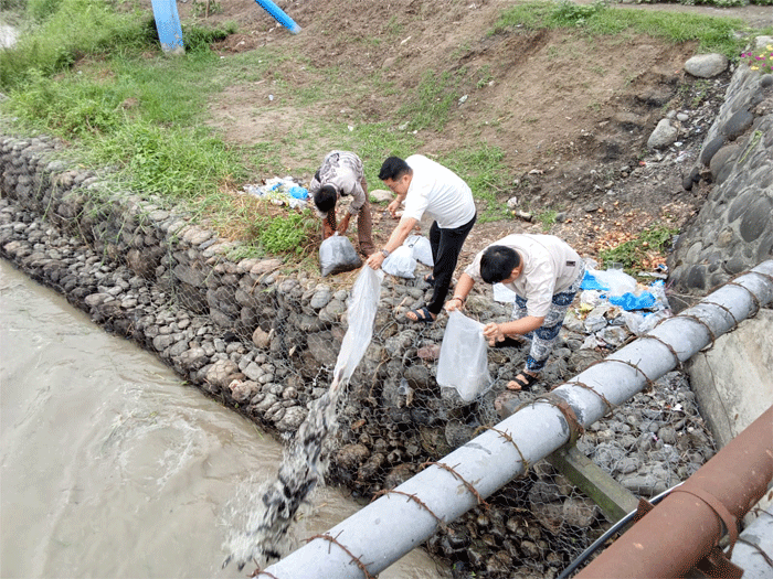 Tanpa Banyak Cakap, Seorang Pengusaha Tebar Seribuan Benih Ikan di Sungai Rampah, Warga Beri Apresiasi Luar Biasa 1 Seorang pengusaha tebar ikan ke Sungai Rampah