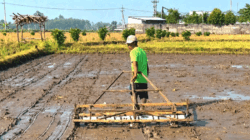 Cegah Penyelewengan, Bupati Jember Ajak Warga dan Petani Awasi Bantuan Pangan Rp221,7 Miliar