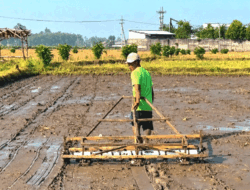Cegah Penyelewengan, Bupati Jember Ajak Warga dan Petani Awasi Bantuan Pangan Rp221,7 Miliar