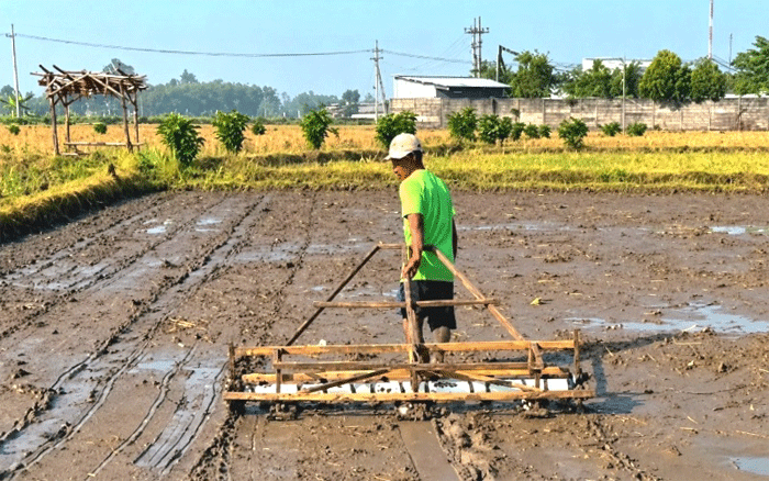 Petani sedang menggarap lahan di areal persawahan Desa Sukamakmur, Kecamatan Ajung, Kabupaten Jember, Jawa Timur. (Foto: DTPHP Jember)