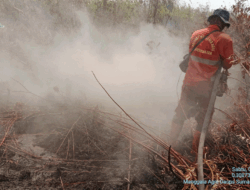 Kebakaran Lahan Meluas di Sungai Guntung Hilir, Alat Berat Tambahan Dikerahkan