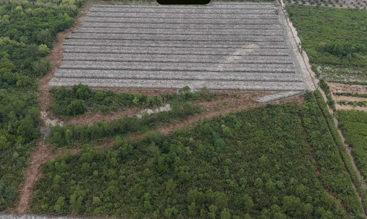 Kawasan hutan yang diduga dirusak pelaku.