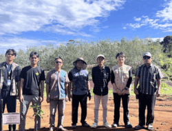 Pulihkan Lingkungan Pascabencana, Green Rangers Event Unand Gelar Aksi Penanaman Pohon di Batu Busuk