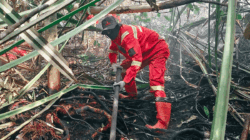 Petugas Gabungan Berjibaku Padamkan Kebakaran Lahan di Indragiri Hulu, Sumber Air Jadi Kendala 2 Petugas berjibaku padamkan api di Indragiri Hilir. (riau.go.id)