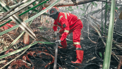 Petugas Gabungan Berjibaku Padamkan Kebakaran Lahan di Indragiri Hulu, Sumber Air Jadi Kendala 8 Petugas berjibaku padamkan api di Indragiri Hilir. (riau.go.id)