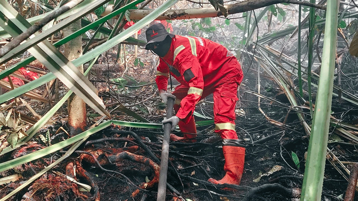 Petugas Gabungan Berjibaku Padamkan Kebakaran Lahan di Indragiri Hulu, Sumber Air Jadi Kendala 1 Petugas berjibaku padamkan api di Indragiri Hilir. (riau.go.id)