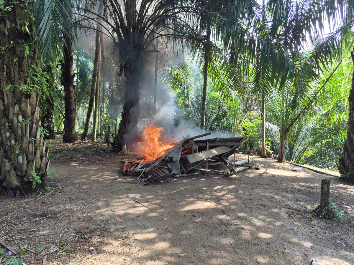 Gubuk yang dibakar petugas
