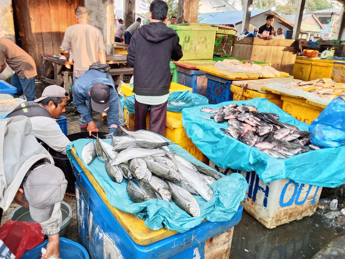 Sebelum Beli Ikan, Cek Dulu Harga Hari Ini, Ayo Makan Ikan dan Berdayakan Nelayan 1 Aktivitas di TPI Tanjung Beringin Sergai