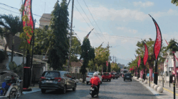 Gus Fawait Punya Mimpi Besar di Balik Warna Pink Jember, Bukan untuk Kepentingan Politik