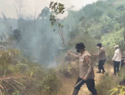 Angin Tak Punya KTP, Api yang Sudah Padam Kembali Berkobar, Lahan Terbakar di Dharmasraya