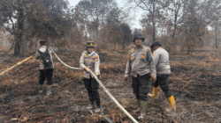 Tujuh Hari Berjibaku, Karhutla 30 Hektare di Siak Akhirnya Berhasil Dipadamkan 2 Karhutla di Dayun Siak berhasil dipadamkan. (riau.go.id)