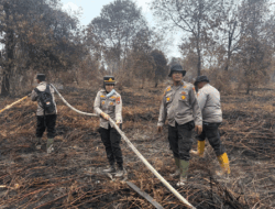 Tujuh Hari Berjibaku, Karhutla 30 Hektare di Siak Akhirnya Berhasil Dipadamkan