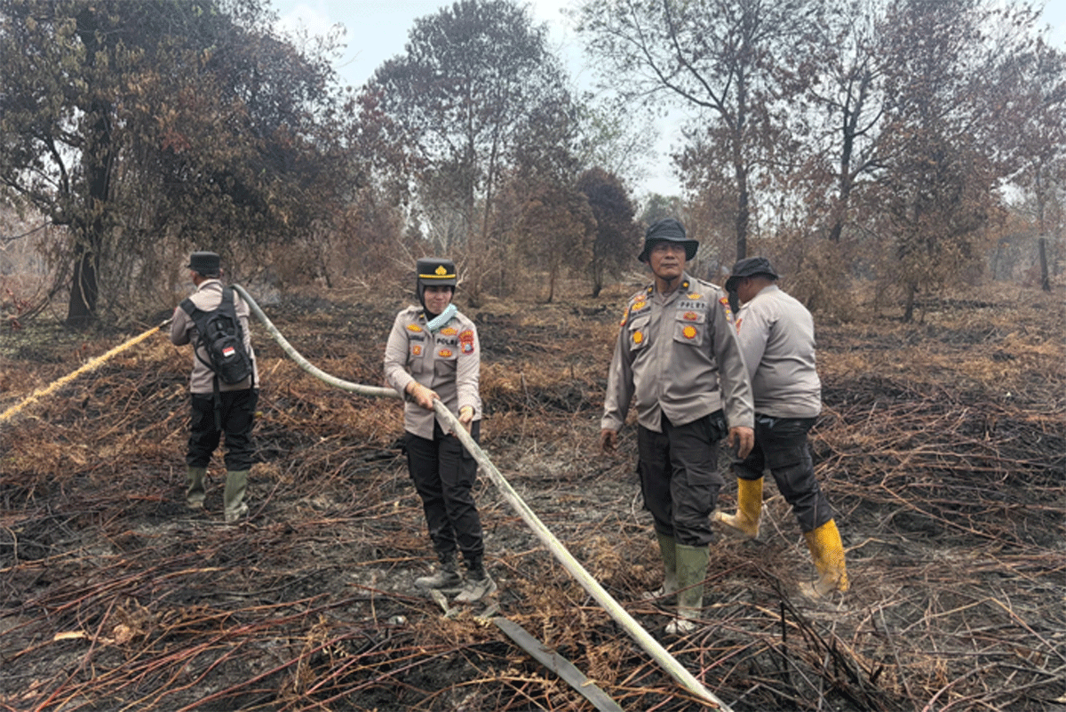 Tujuh Hari Berjibaku, Karhutla 30 Hektare di Siak Akhirnya Berhasil Dipadamkan 1 Karhutla di Dayun Siak berhasil dipadamkan. (riau.go.id)